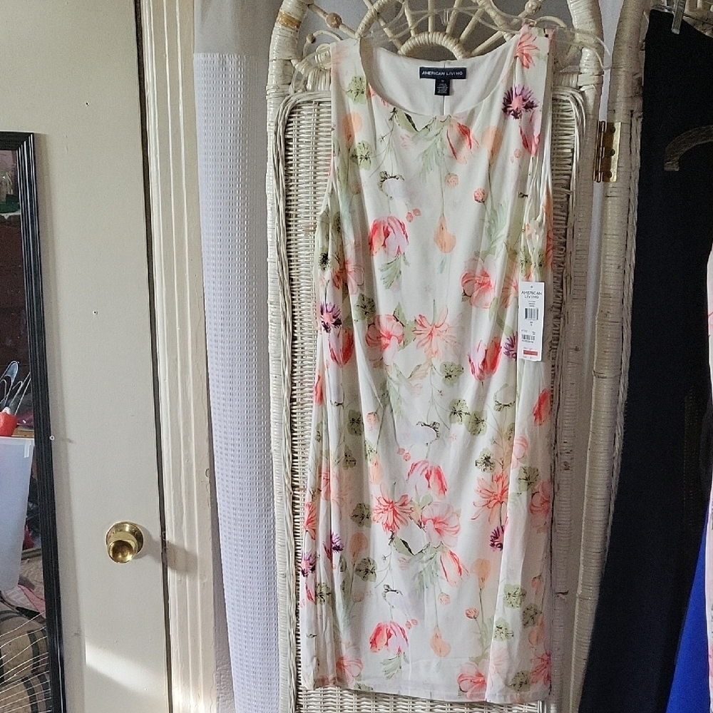 Dress Brand New American Living Size 10